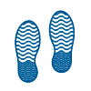 analisis plantar